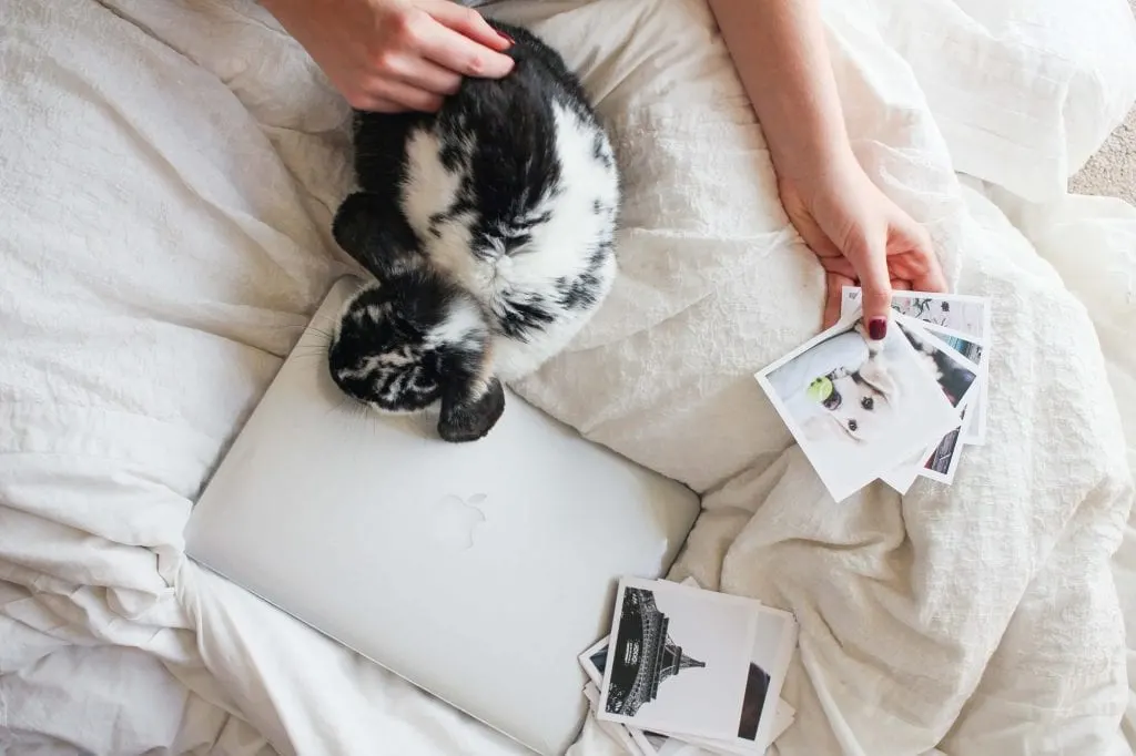 take pictures to remember your days as a healthy habit