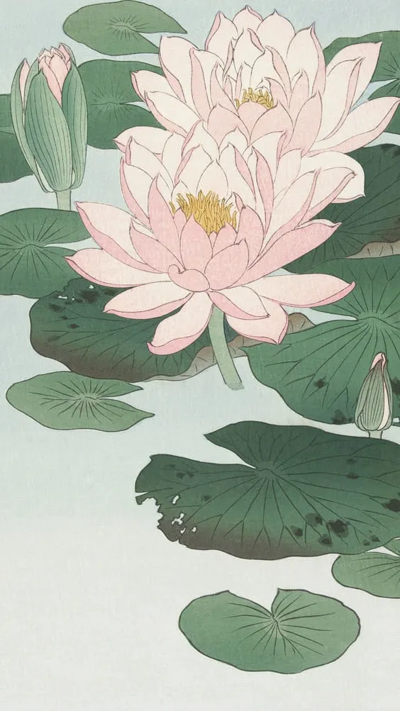 pink and green flower petals sketch art wallpaper.